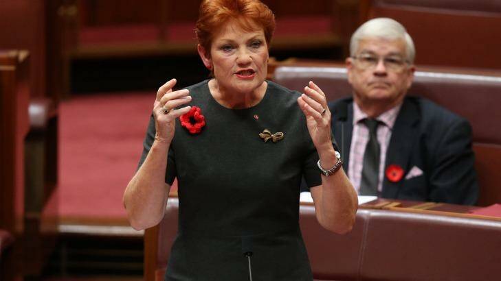Pauline Hanson: "I can see in Donald Trump a lot of me." Photo: Andrew Meares