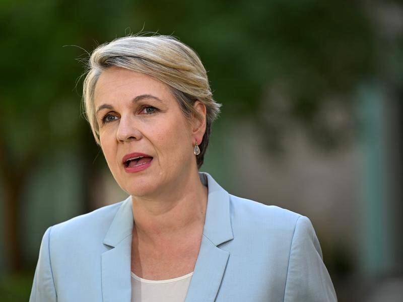 More than 50 experts are calling on Tanya Plibersek to refuse Woodside's Burrup Hub proposal. (Lukas Coch/AAP PHOTOS)