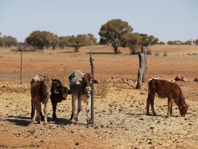 Almost two thirds of Queensland is now drought-declared after a lack of summer rainfall.