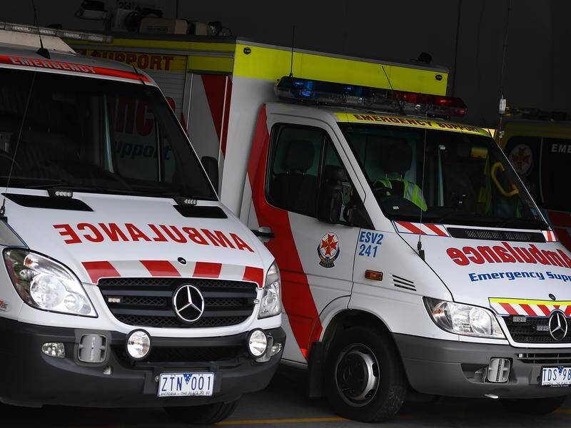 Emergency services treated two teenagers injured in an apparent shark attack in Victoria.