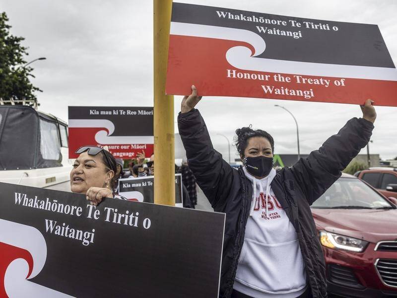 The Te Papa protest follows National Maori Action Day rallies last week. (AP PHOTO)