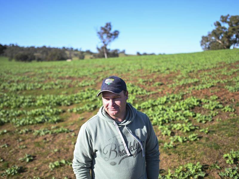 Albury mixed farmer Justin Everitt is concerned about the safety of farm data sharing. (Lukas Coch/AAP PHOTOS)