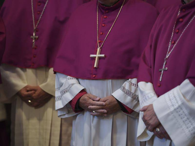 German bishops have apologised after a report found Catholic clergy abused thousands of people.