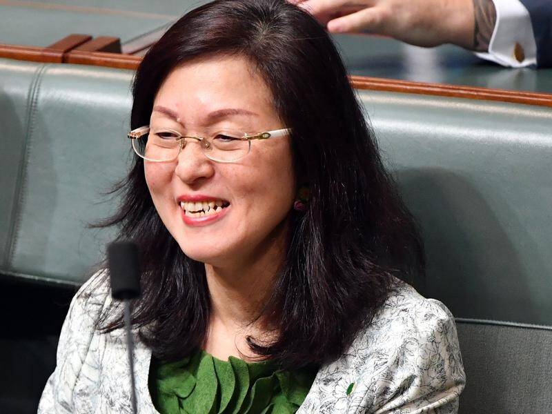 MP Gladys Liu offered references for Chinese students who worked on her election campaign.