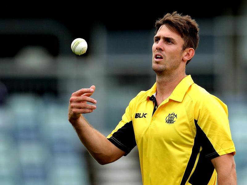 Allrounder Mitch Marsh says he's learned much from the ups and downs of the last year.