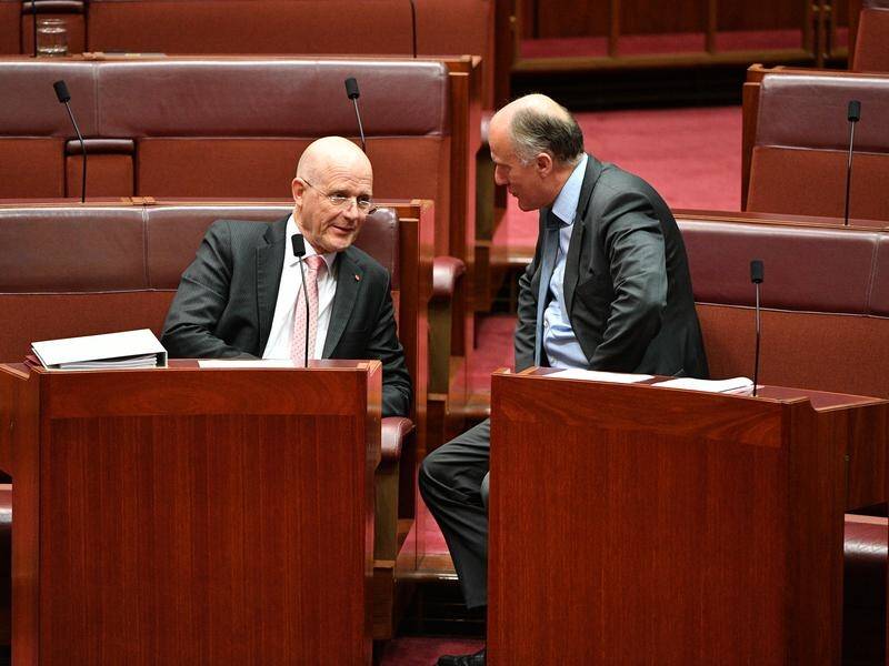 Liberal Democratic Party Senator David Leyonhjelm (L) will have a private euthanasia bill debated.