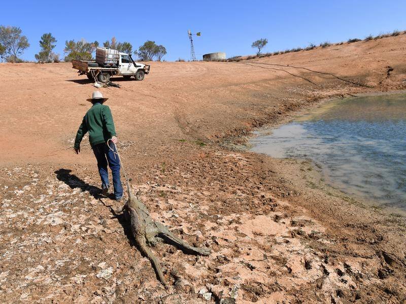 Rolling disasters have left rural communities with no time to reflect on surviving the long drought. (David Mariuz/AAP PHOTOS)