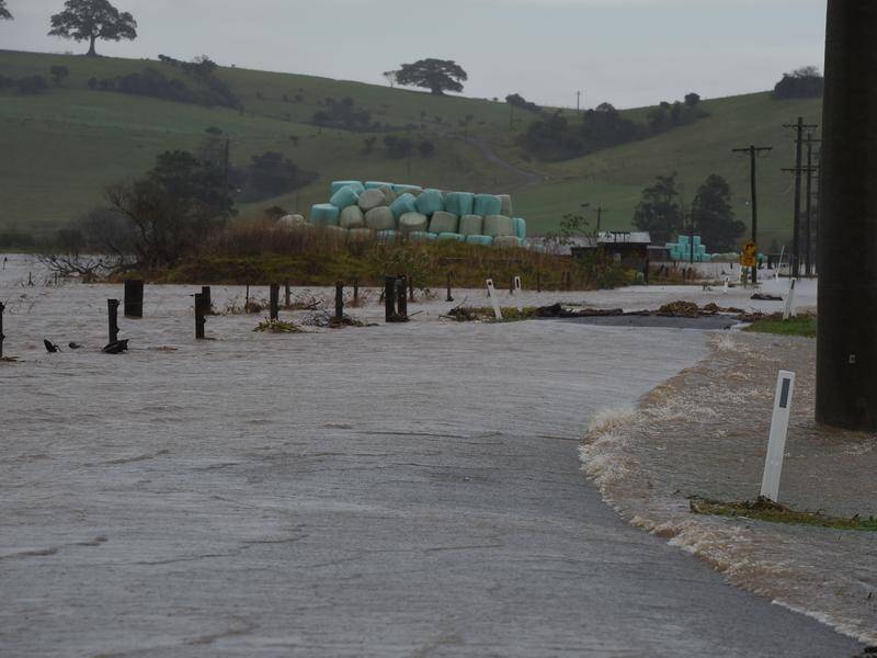 Flooding is likely to impact regions of the NSW south coast after torrential rainfall.