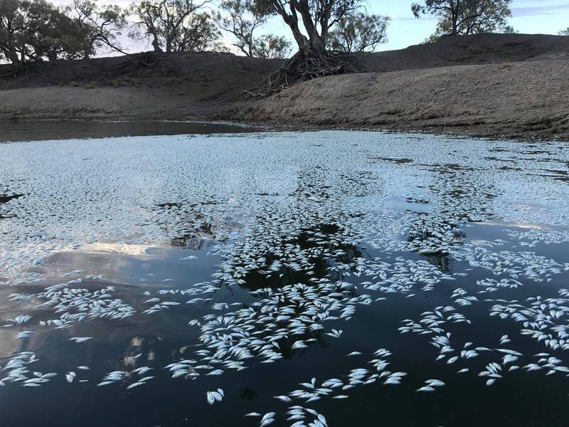 The federal government has boosted funding to prevent mass fish deaths in Australian water bodies.