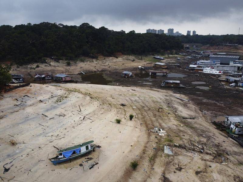 Boats stuck in a dry area of the Negro River, the Amazon's second largest tributary. (AP PHOTO)