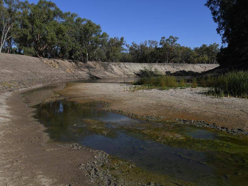Lower Darling River farmers say the water they rely on is being diverted north and south.