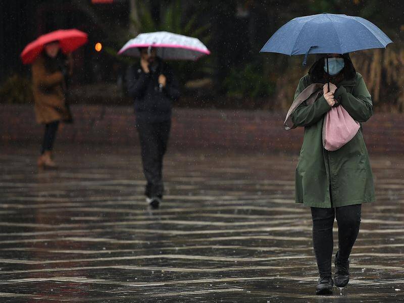 The sun is expected to come out in Sydney on Wednesday after days of heavy rain and damaging winds.