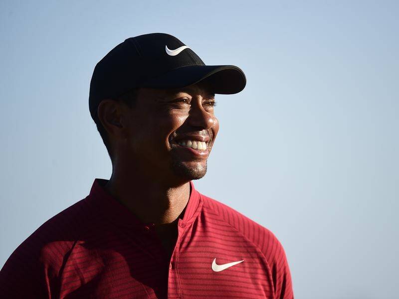 Wayne Grady doesn't want Tiger Woods to both play and be captain at next year's Presidents Cup.