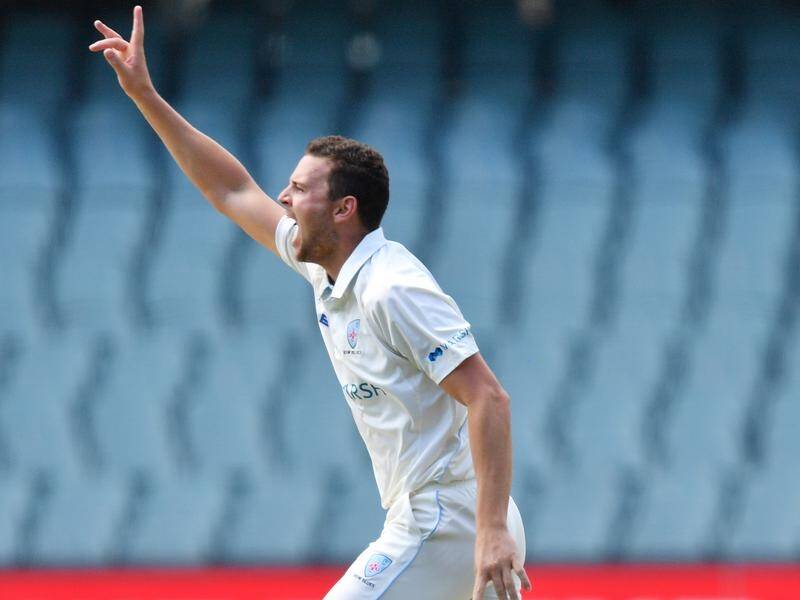 Josh Hazlewood took six second innings wickets as NSW beat SA in the Sheffield Shield.
