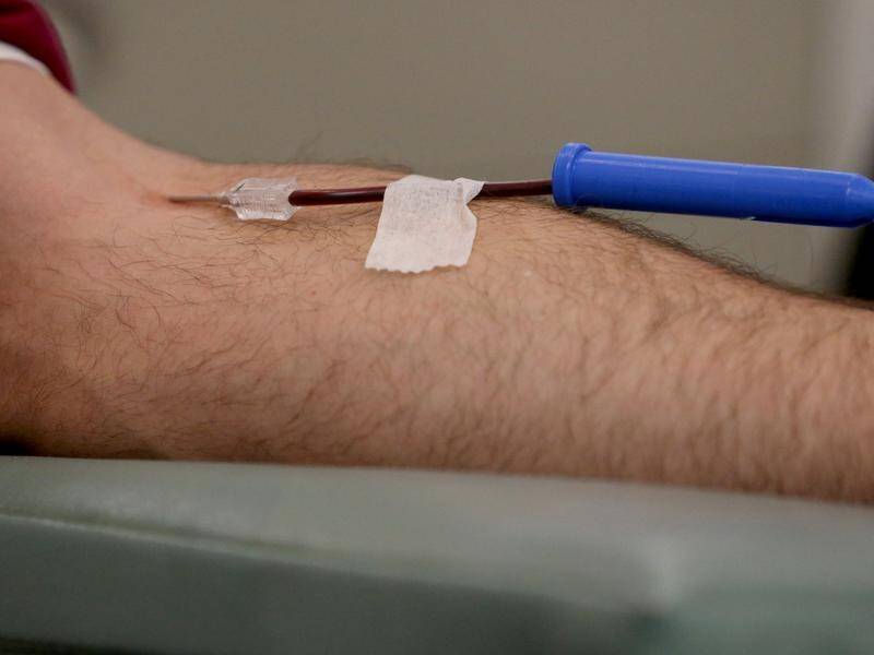 The South Australian Greens are pushing to change blood donor rules for homosexual men.