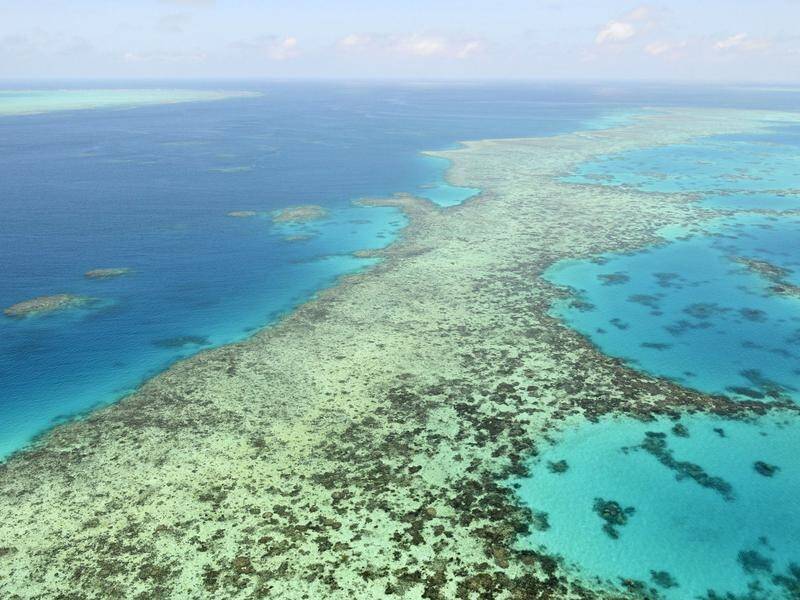 The Great Barrier Reef Marine Park Authority says agriculture runoff is a major pollutant.