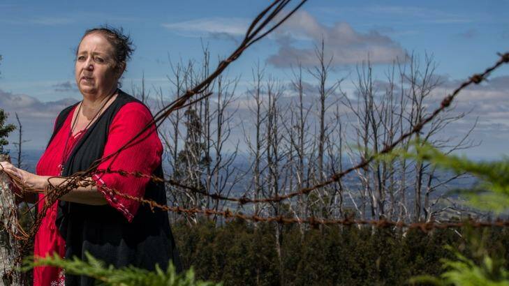 Lesley Bebbington is a resident and parent in Kinglake who started a youth group after the fires. Photo: Jason South