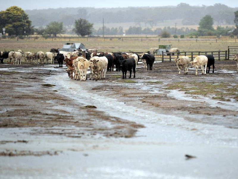 Parts of drought-sticken NSW have been hit with heavy downpours of rain, which may lead to flooding.