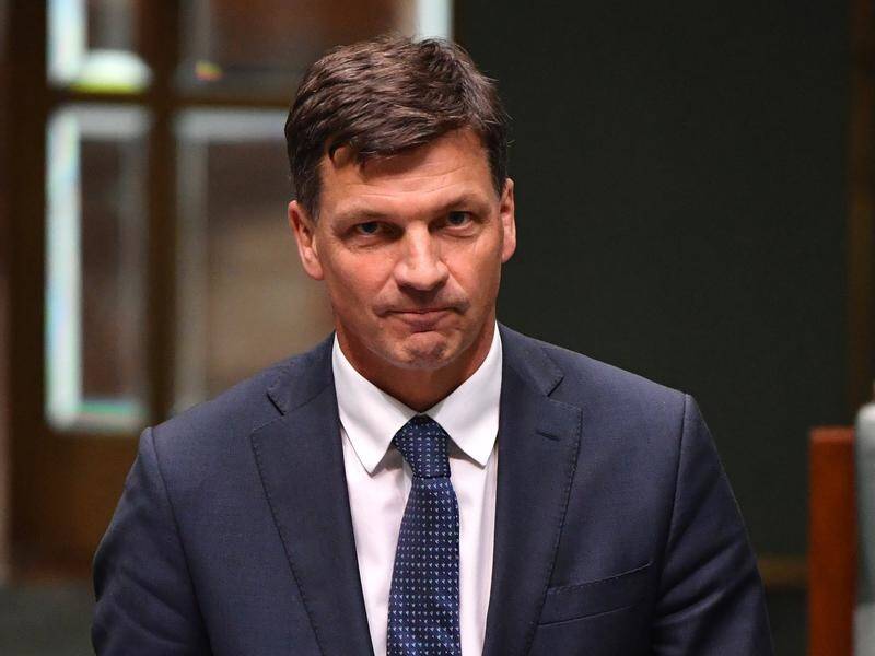 Angus Taylor plans an emissions reduction strategy "without massive government subsidies".