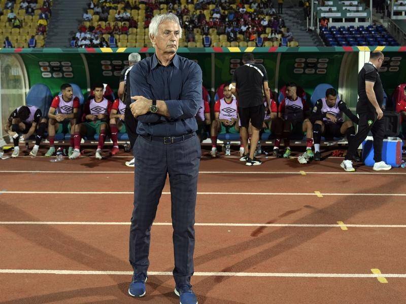 Morocco have fired coach Vahid Halilhodzic three months ahead of the World Cup in Qatar. (AP PHOTO)