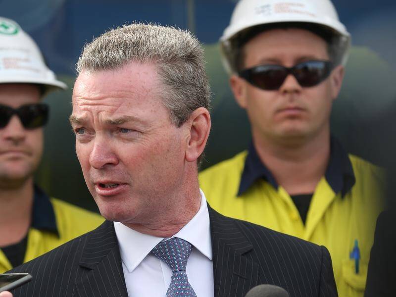 Christopher Pyne has appointed former minister David Johnston as Defence Export Advocate.