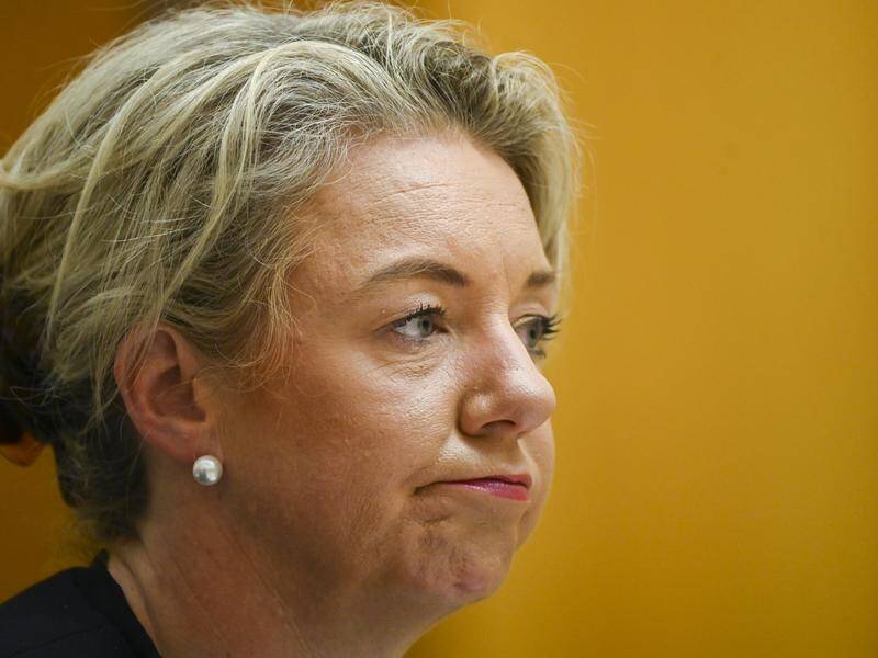 Some colleagues have complained about Bridget McKenzie's performance as deputy Nationals leader.