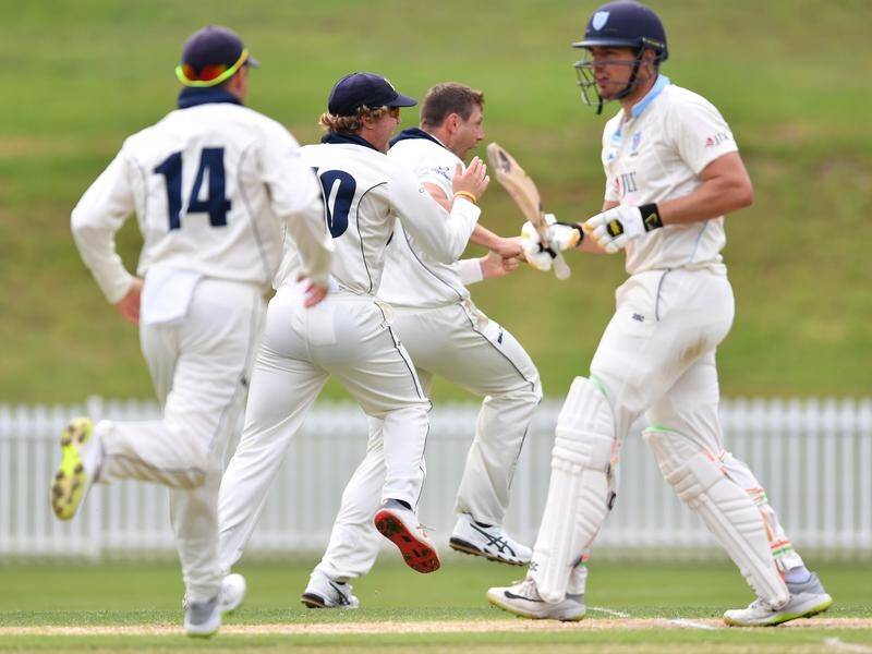 Victoria's James Pattinson (c) celebrates the wicket of NSW's Moises Henriques at Drummoyne Oval.