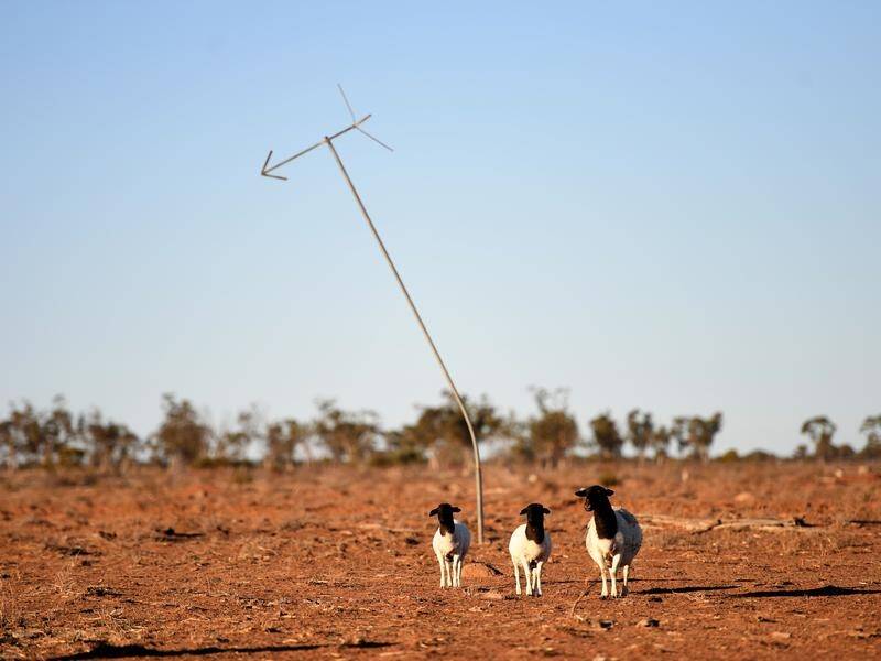 While some farmers are rounding off a record grain harvest, others are still gripped by drought.