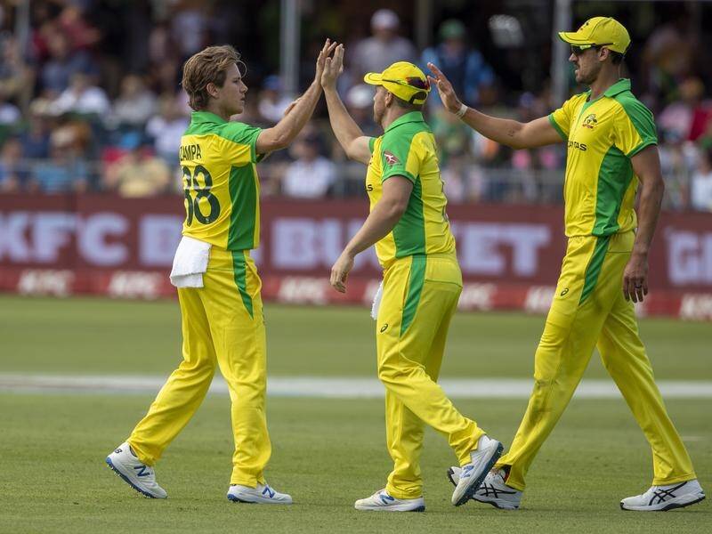 Legspinner Adam Zampa has made himself almost indispensable for Australia.