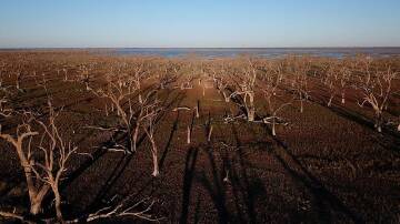 Twenty-five per cent of NSW is in intense drought, 47pc is drought and 27.2pc is drought affected.