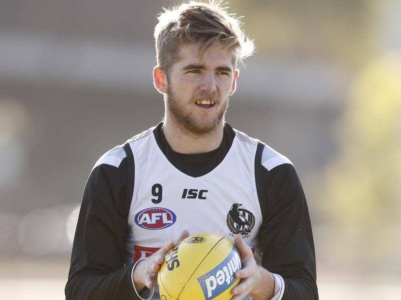 Collingwood's Sam Murray will be available for AFL action in round one next year after a drugs ban.
