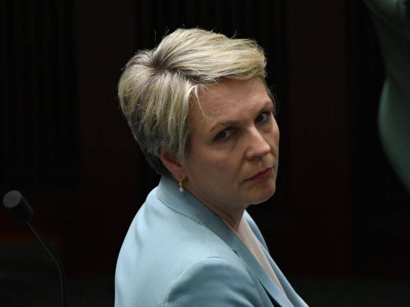 Labor's Tanya Plibersek has slammed the government bill to crackdown on workplace sexual harassment.
