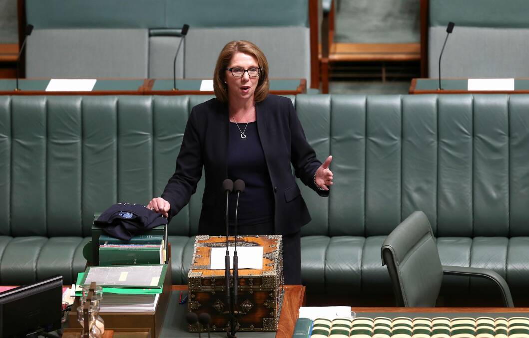 NATIONAL SPOTLIGHT: Shadow Health Minister Catherine King speaking in the House of Representatives in September 2014. Picture: Alex Ellinghausen
