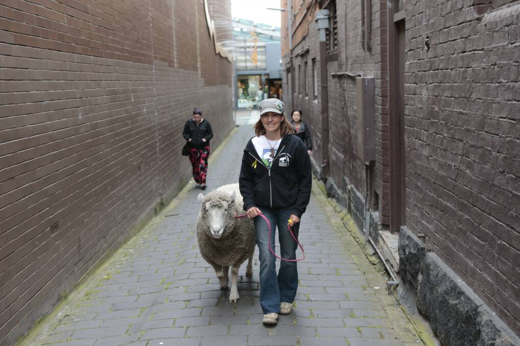 Awareness: Timmy Sheep and Pam Ahern visit Bridge Mall to teach Ballarat residents about Be Kind to Animals Week.