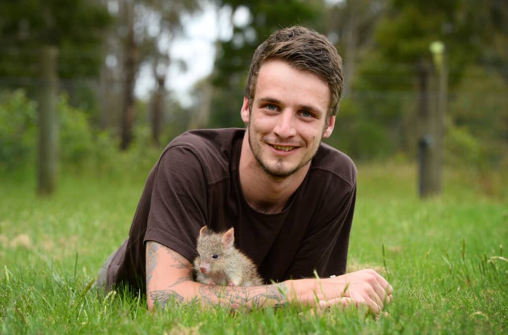 Rare sight: Rookeepers director Michael Church with George, the rufous bettong. PICTURE: ADAM TRAFFORD