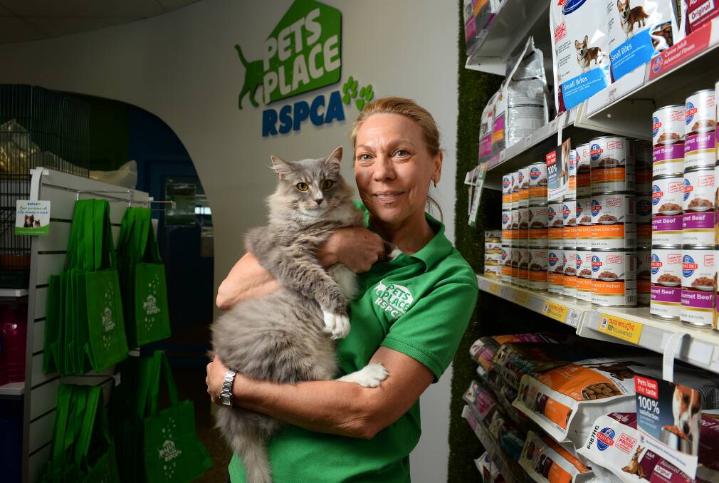 RSPCA Pets Place assistant manager Lyn Zboril with lovable kitty Socks. PICTURE: ADAM TRAFFORD