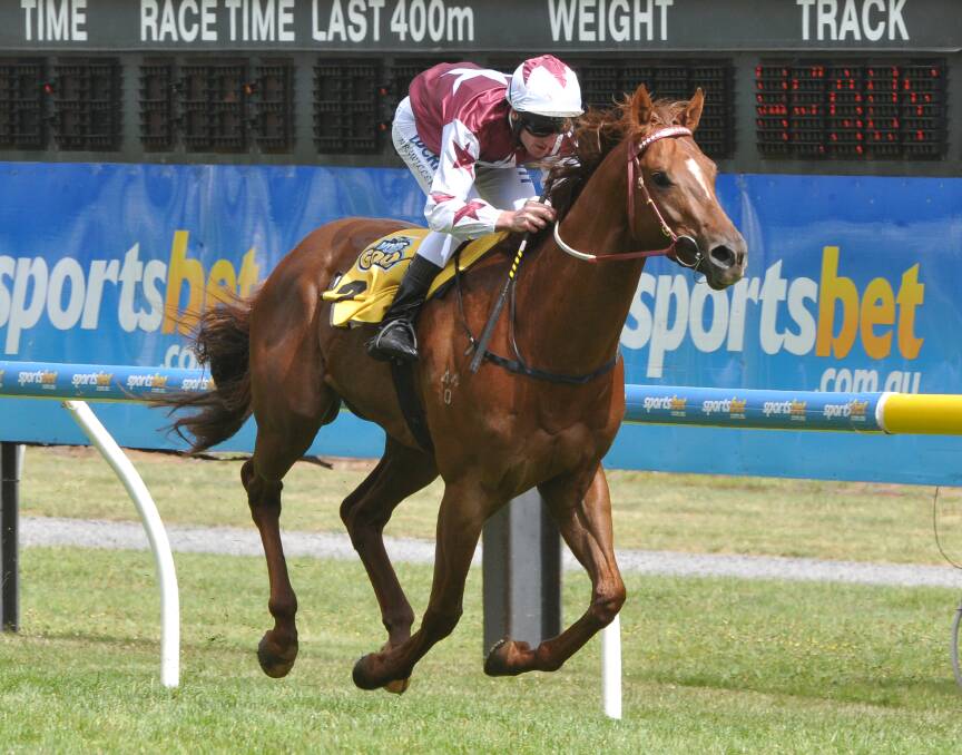 Trust in a Gust with jockey Brad Rawiller on board in this file photo wins a race in November last year. 
PICTURE: LACHLAN BENCE