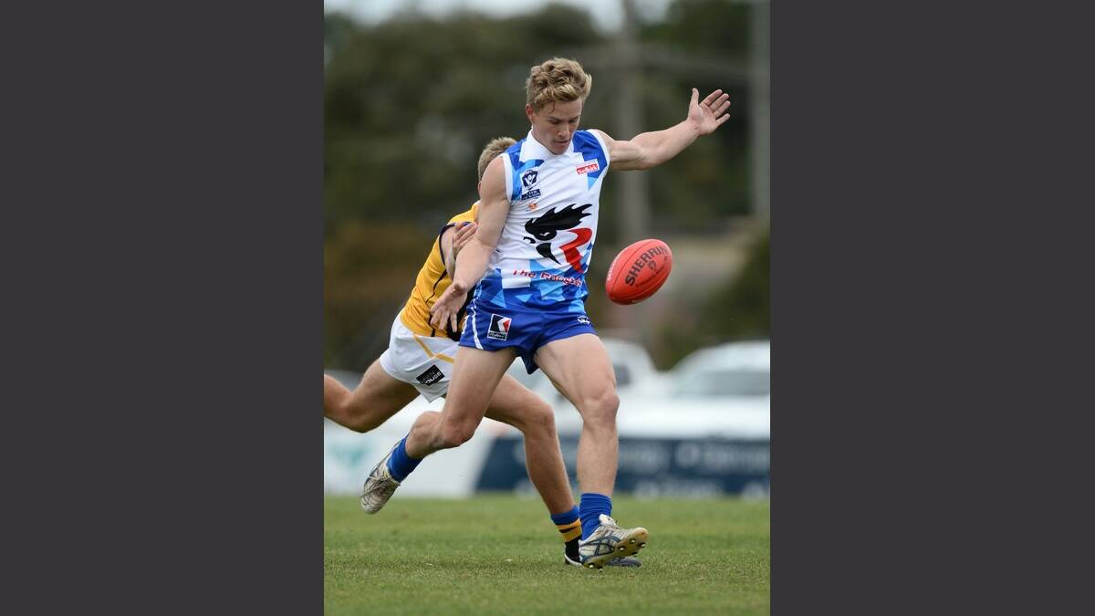 Nick Rippon (Roosters) - VFL North Ballarat Roosters vs Sandringham. Pictures Adam Trafford 