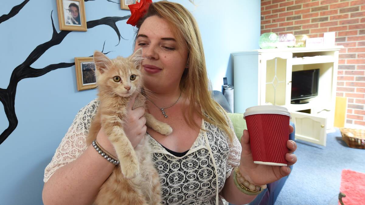 Chloe Mathews has opened Ballarat's first cat cafe in Lydiard Street North. 
Picture: LACHLAN BENCE