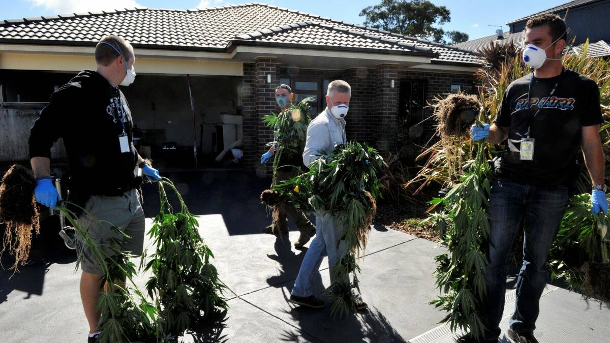 Police officers removing cannabis from the house in Canadian. PICTURE: JEREMY BANNISTER