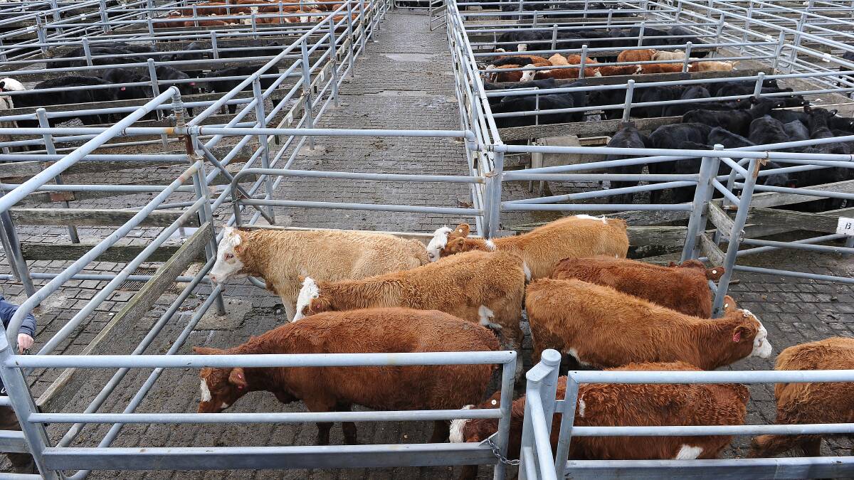 BALLARAT stands to lose up to $190 million a year if the new saleyards are not built within the municipality. 