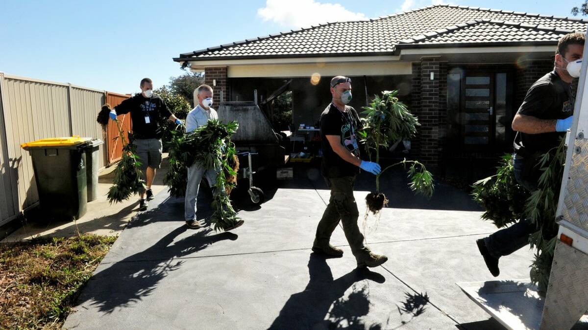 Police officers removing cannabis from the house in Canadian.
PICTURE: JEREMY BANNISTER