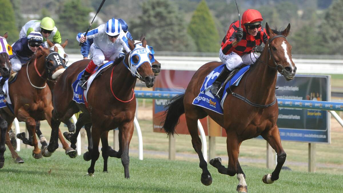 Mujadale ridden by Kevin Forrester storms home in the Ballarat Cup. File image.