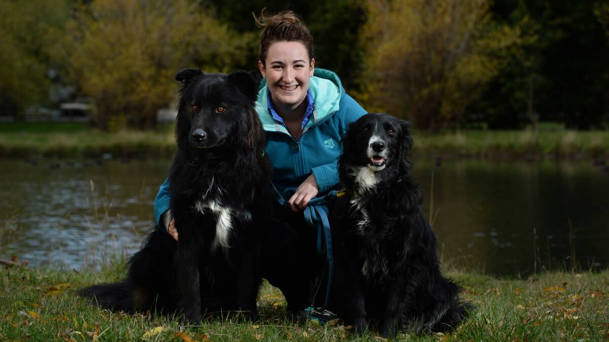 Bethany Bajada, with Dozer and Bell, will take part in the annual Million Paws Walk.
PICTURE: ADAM TRAFFORD
