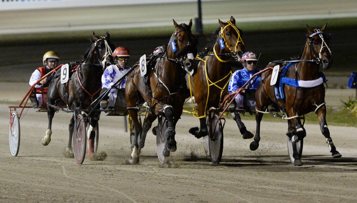 The four Ballarat Pacing Cup runners contest Saturday night’s $100,000 race. PICTURE: Kate Healy