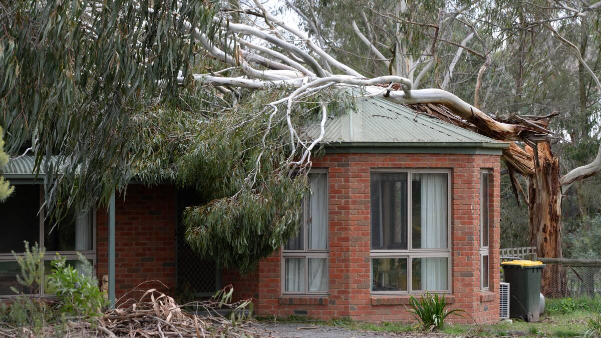 A tree fell across a house in Haymes Road, Mount Clear during Thursday’s wild weather. PICTURE: KATE HEALY