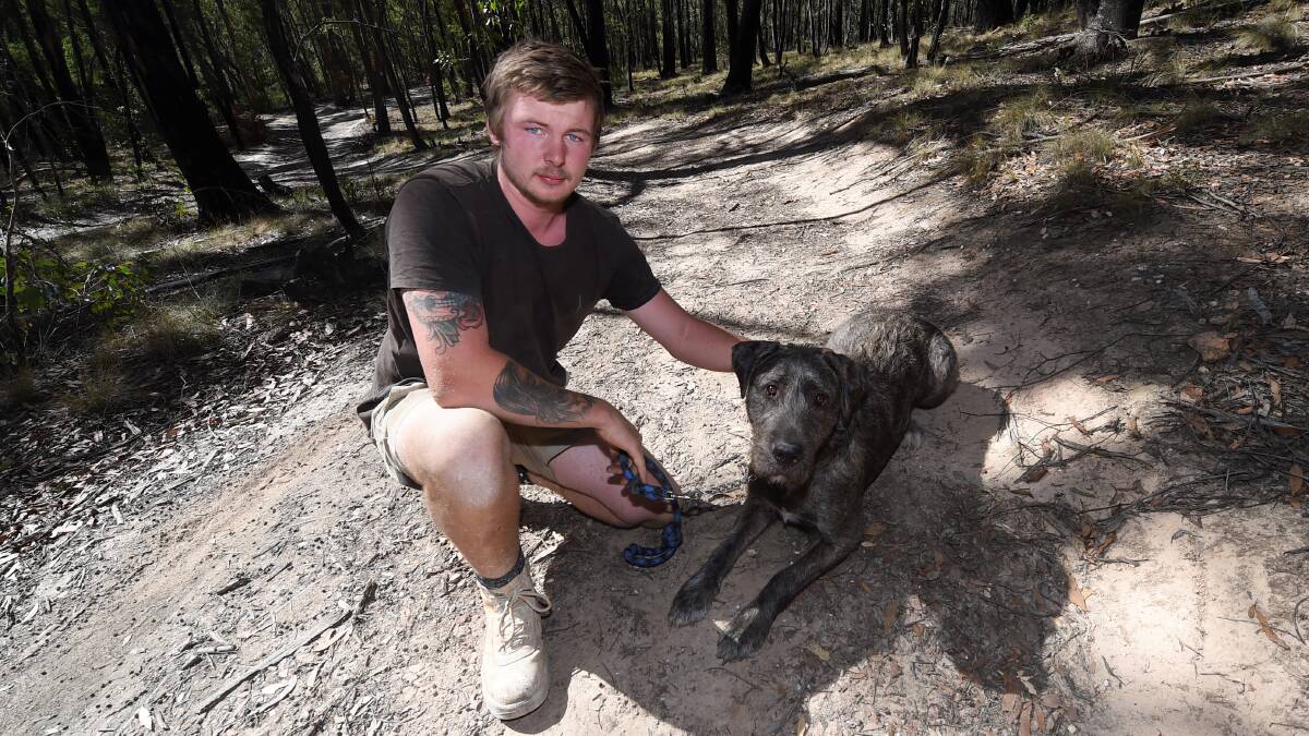 Tristan Burke, with Colt, regularly walks along the Nerrina forest tracks. PICTURE: LACHLAN BENCE