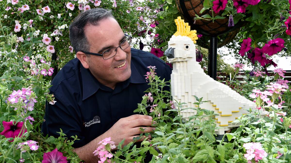 LEGO Certified Professional Ryan McNaught with one of his creations, a Sulphur Crested Cockatoo. PICTURE: JEREMY BANNISTER