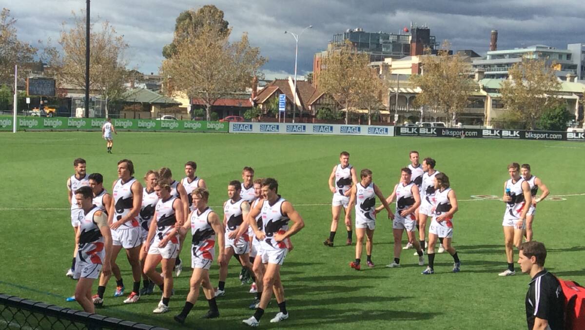 North Ballarat Roosters at Punt Road Oval.