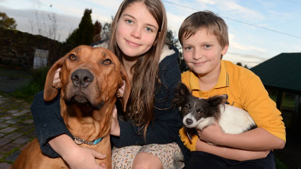 Daisy Cooper-Kennington, 14, with George and Seth Cooper-Kennington, 10, with Stampy